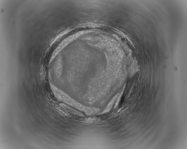 X0000085781160200704131821