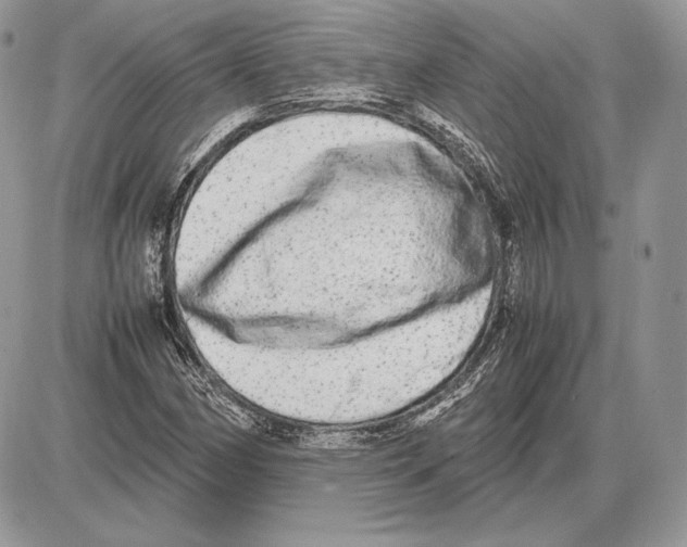 X0000085781162200704131821