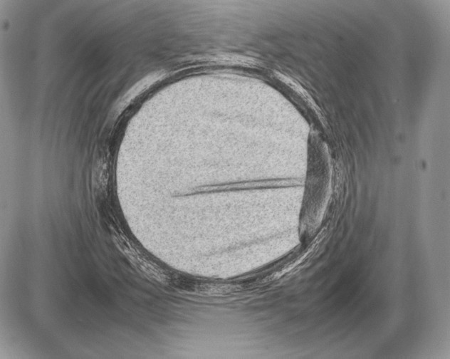 X0000085781163200704131821