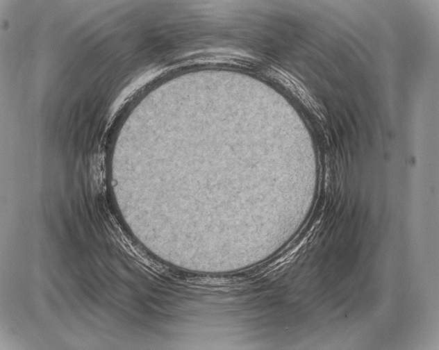 X0000085781164200704131821