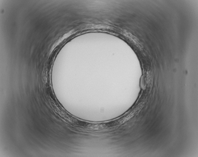 X0000085781165200704131821