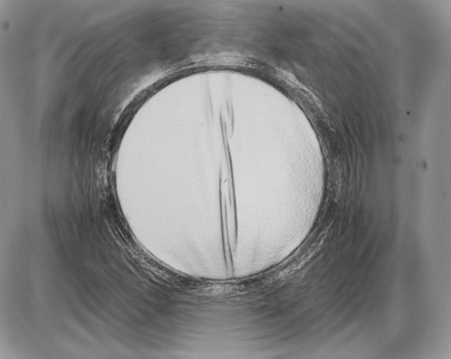 X0000085781166200704131821