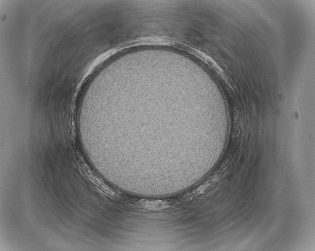 X0000085781168200704131821