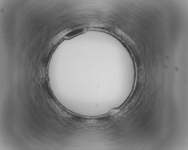 X0000085781169200704131821