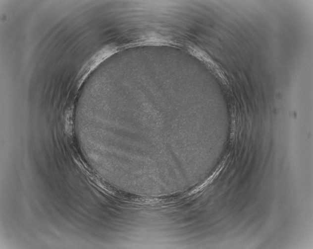 X0000085781170200704131821