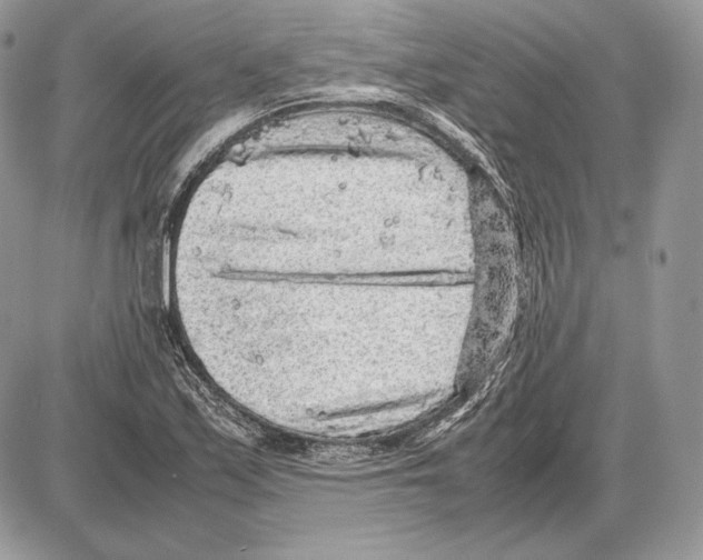 X0000085781171200704131821