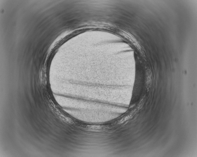 X0000085781172200704131821