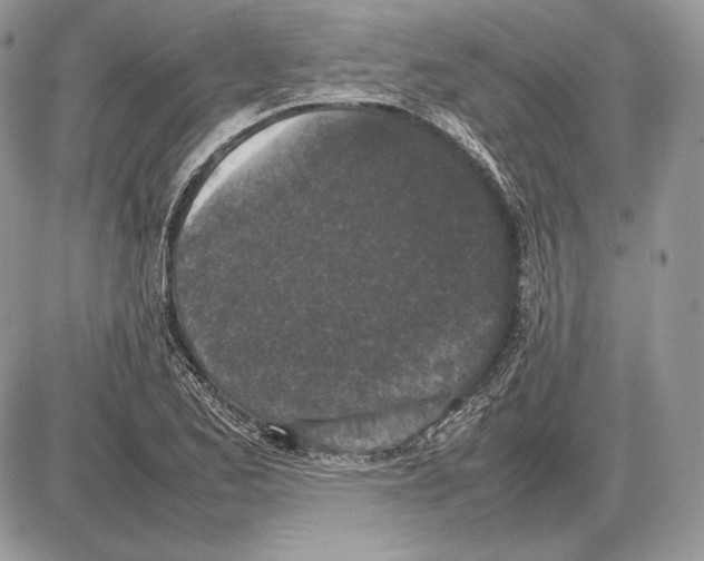 X0000085781173200704131821