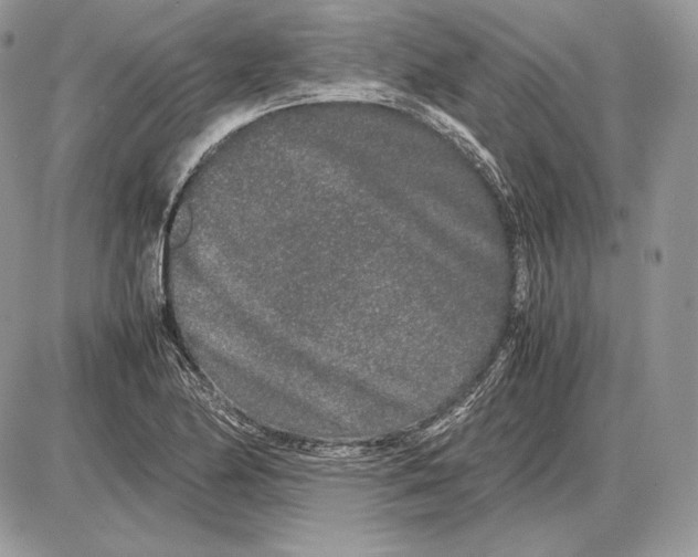 X0000085781174200704131821