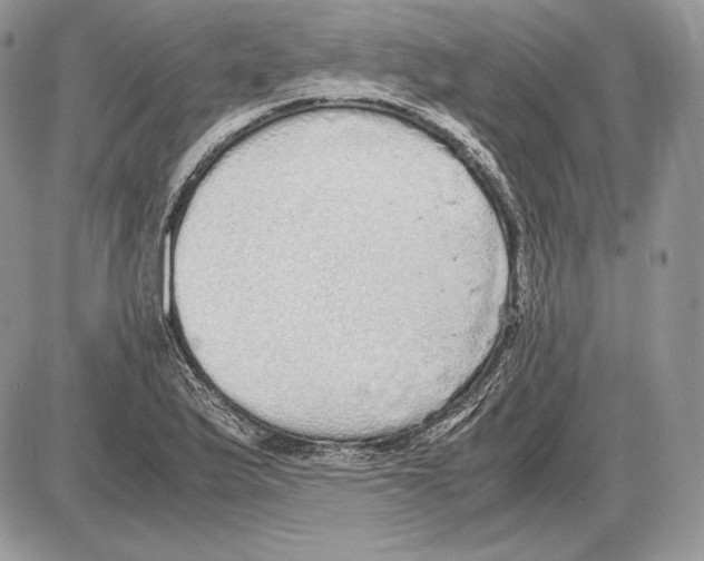 X0000085781175200704131821