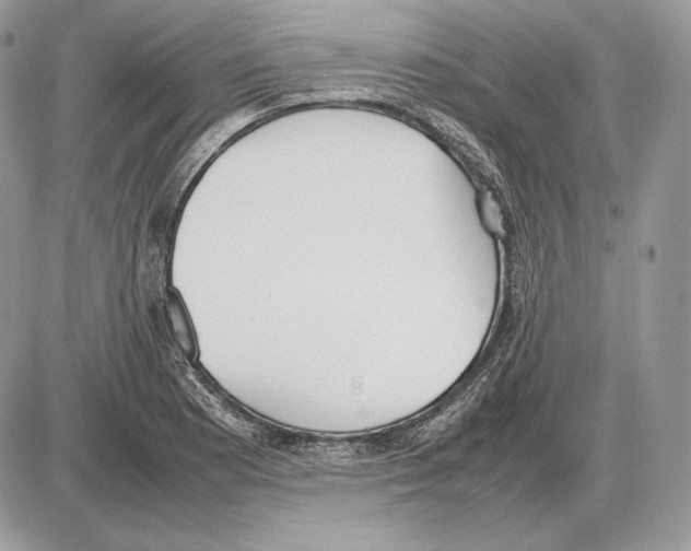 X0000085781177200704131821