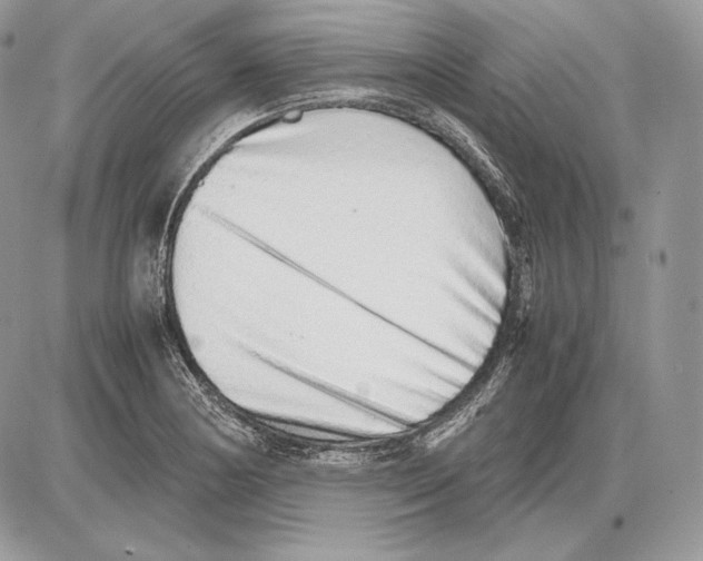 X0000085781178200704131821