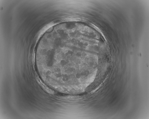 X0000085781179200704131821