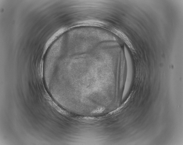 X0000085781180200704131821