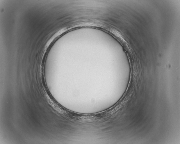 X0000085781181200704131821