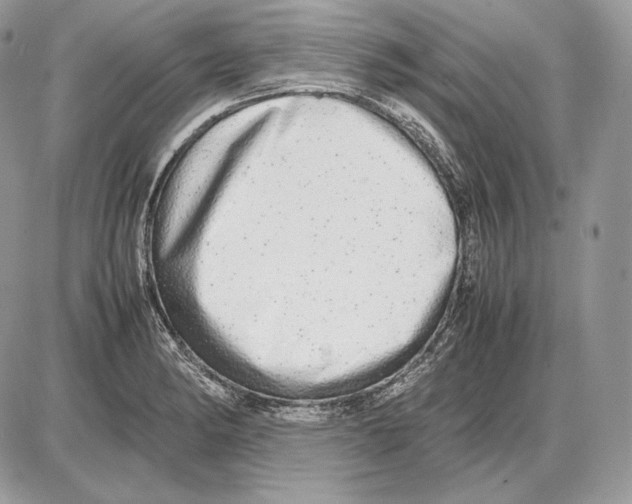 X0000085781182200704131821