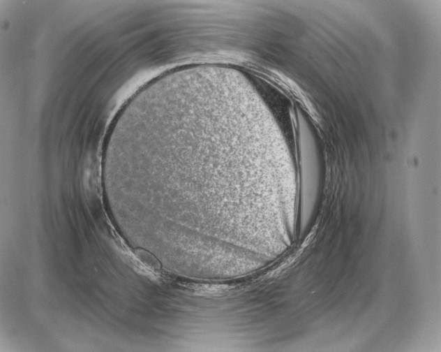 X0000085781184200704131821