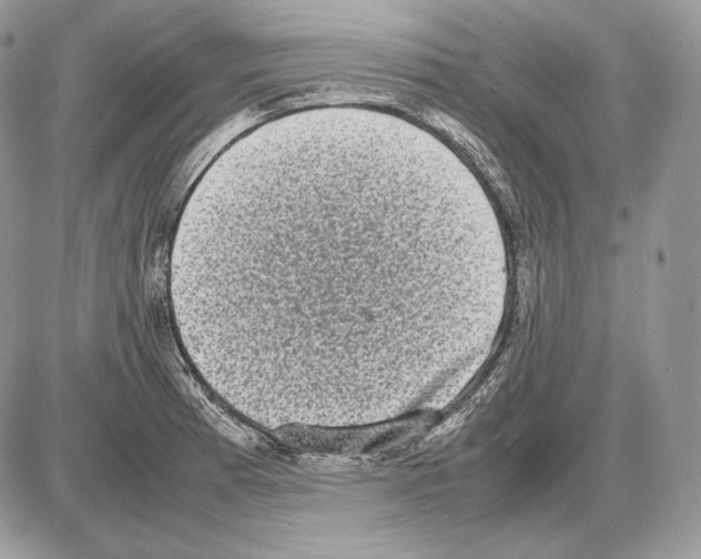 X0000085781185200704131821