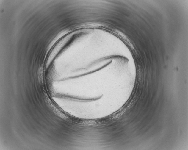 X0000085781186200704131821