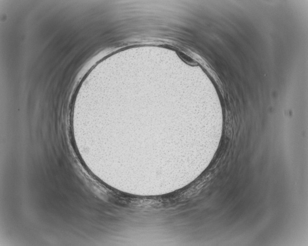 X0000085781187200704131821