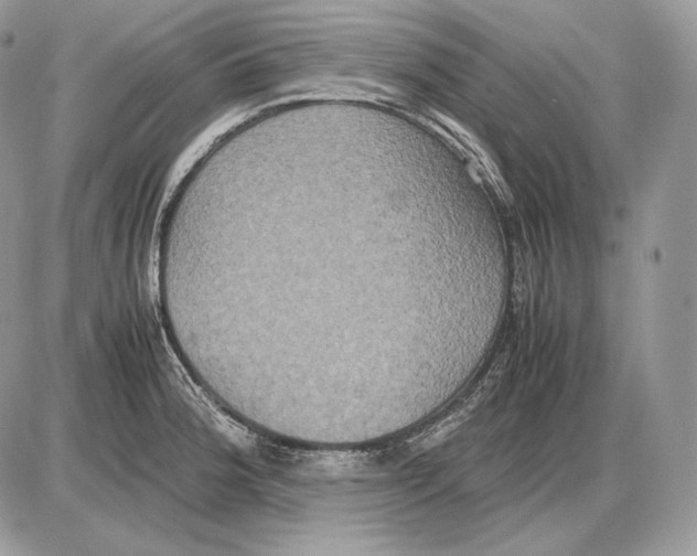 X0000085781188200704131821