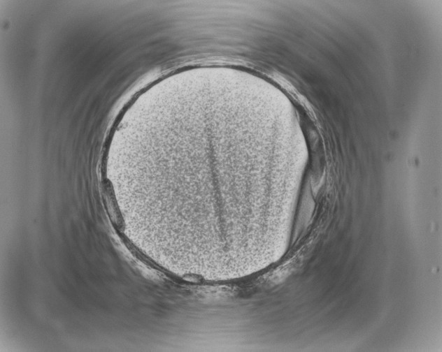 X0000085781189200704131821