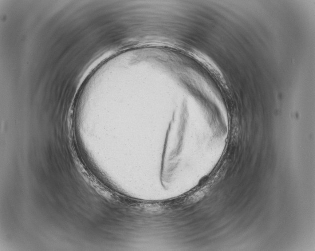 X0000085781190200704131821