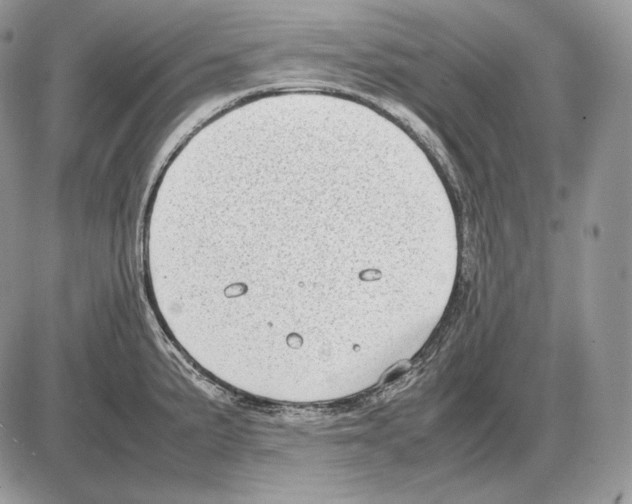 X0000085781191200704131821