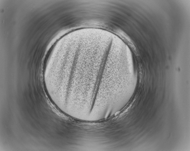 X0000085781192200704131821