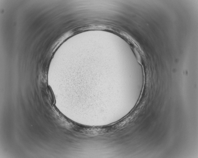 X0000085781193200704131821