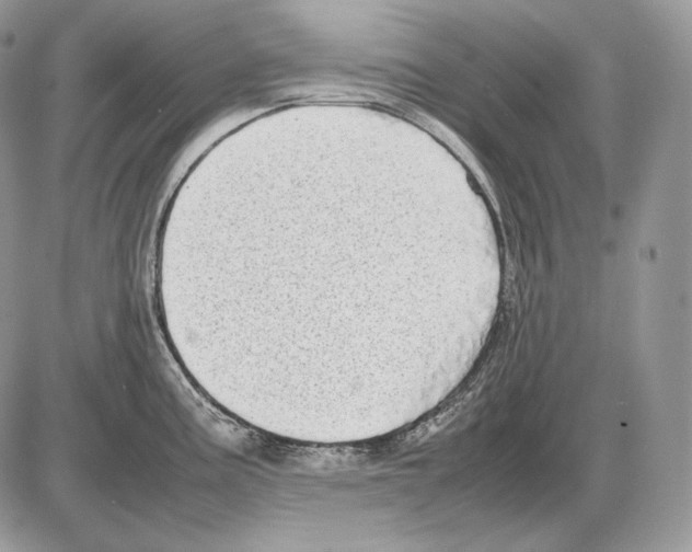 X0000085781195200704131821