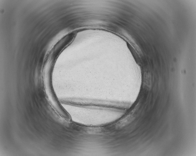 X0000085781196200704131821