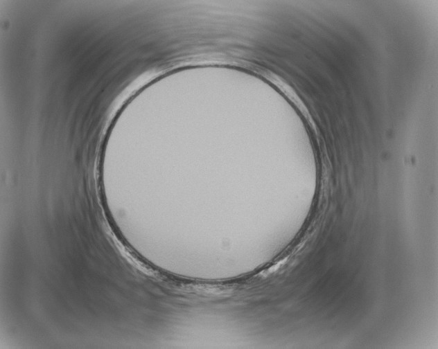 X0000085781197200704131821