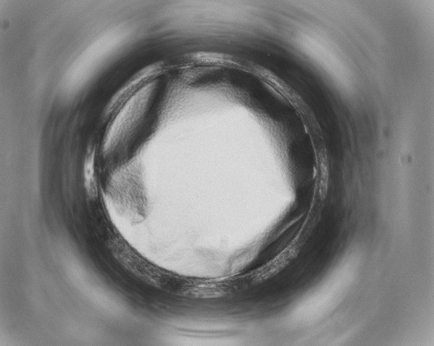 X0000085781198200704131821