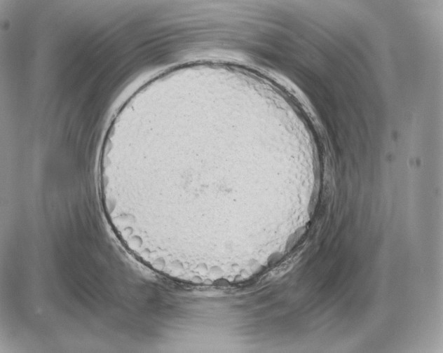 X0000085781199200704131821