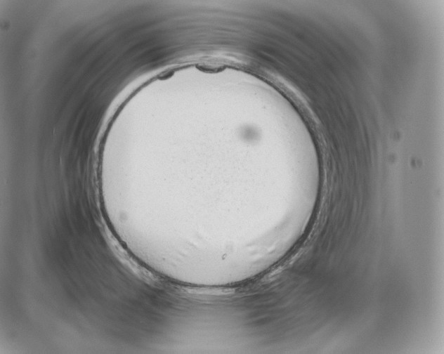 X0000085781200200704131821