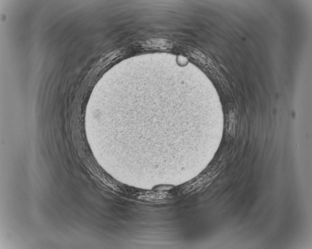 X0000085781201200704131820