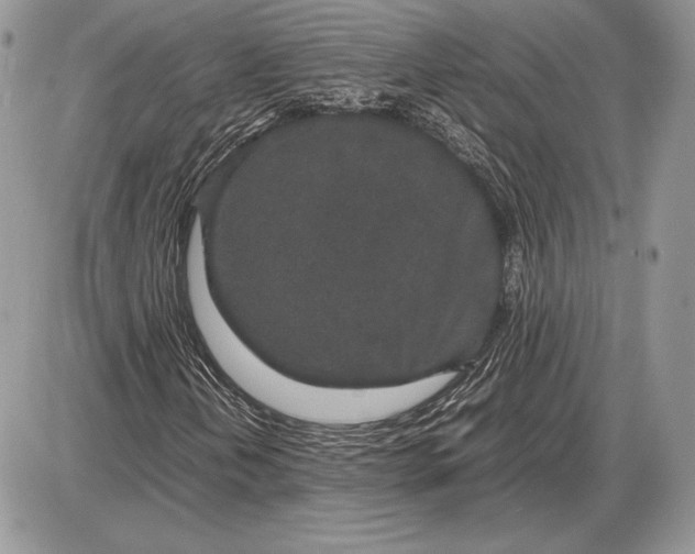 X0000085781202200704131820