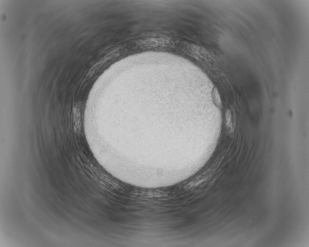 X0000085781203200704131820