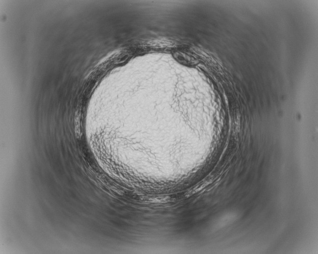 X0000085781205200704131820