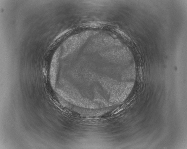 X0000085781206200704131820