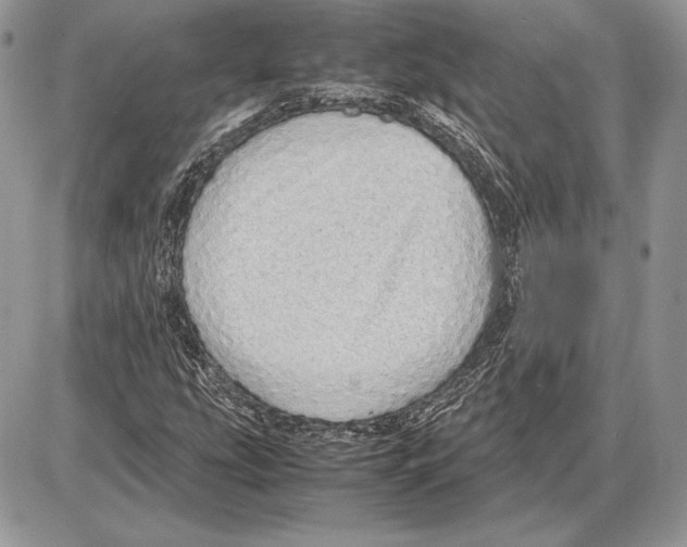 X0000085781207200704131820