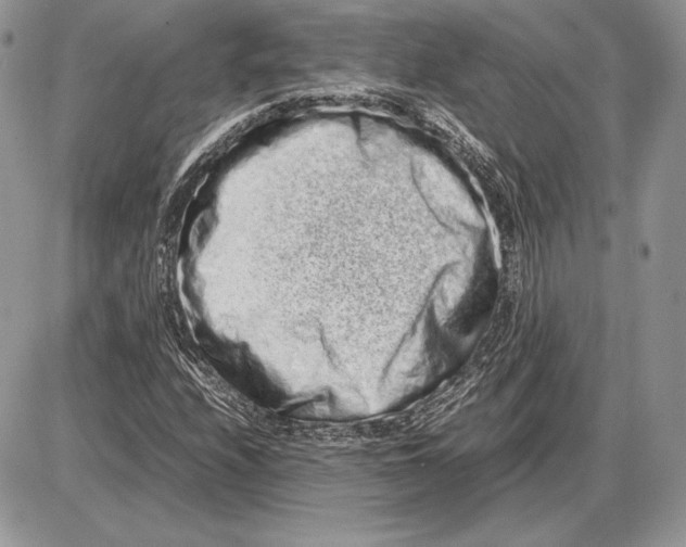 X0000085781208200704131820