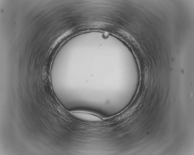 X0000085781210200704131820