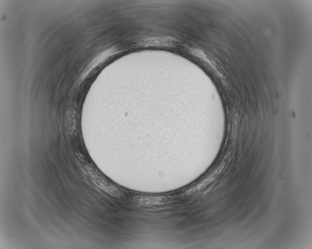 X0000085781211200704131820