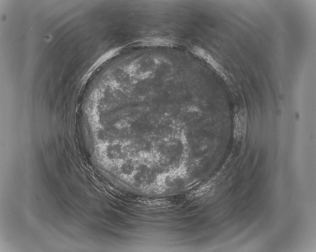 X0000085781213200704131820