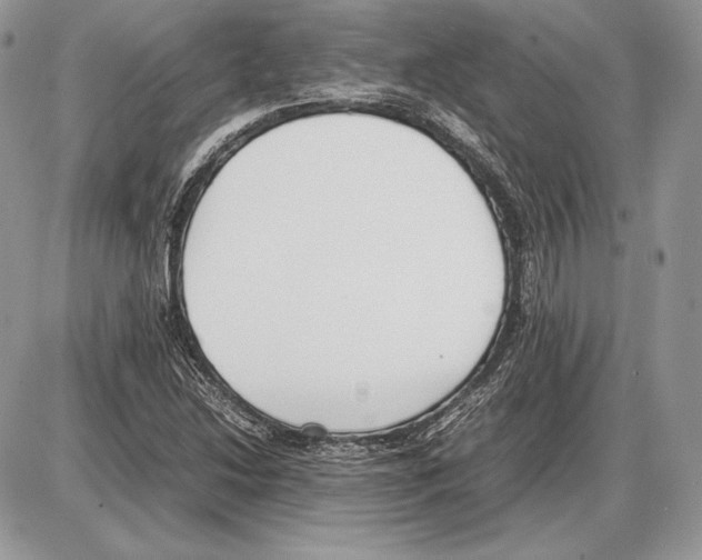 X0000085781214200704131820