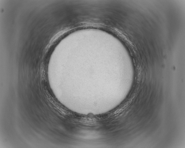 X0000085781215200704131820