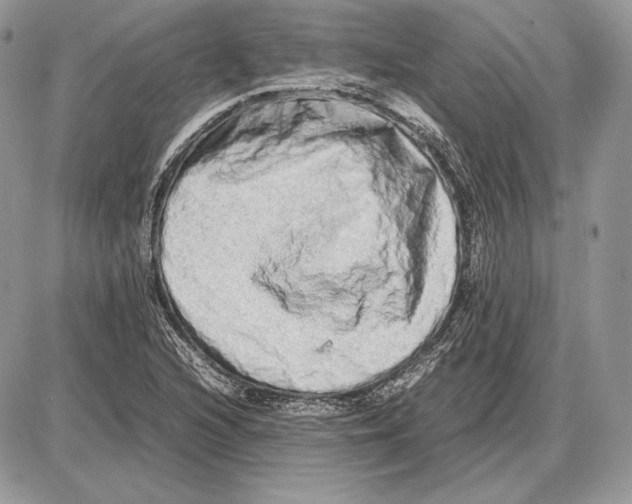 X0000085781216200704131820