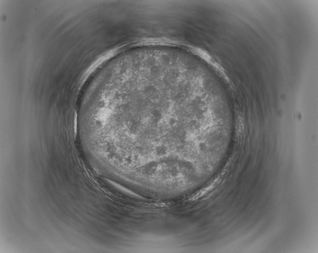 X0000085781221200704131820